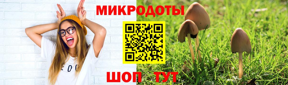 Псилоцибиновые грибы Cubensis Верхняя Пышма