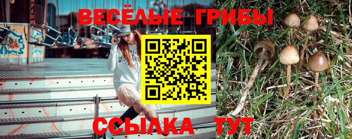 Верхняя Пышма  Галлюциногенные грибы прущие грибы  Галлюциногенные грибы Psilocybine cubensis  Вход с VPN 